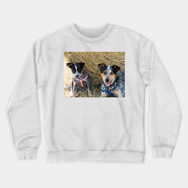 81515 two buddies Crewneck Sweatshirt by pcfyi